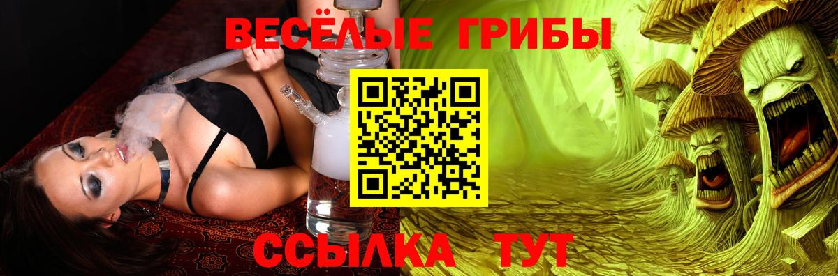 Менделеевск  цена наркотик  Псилоцибиновые грибы ЛСД  Вход с VPN  Псилоцибиновые грибы MAGIC MUSHROOMS 