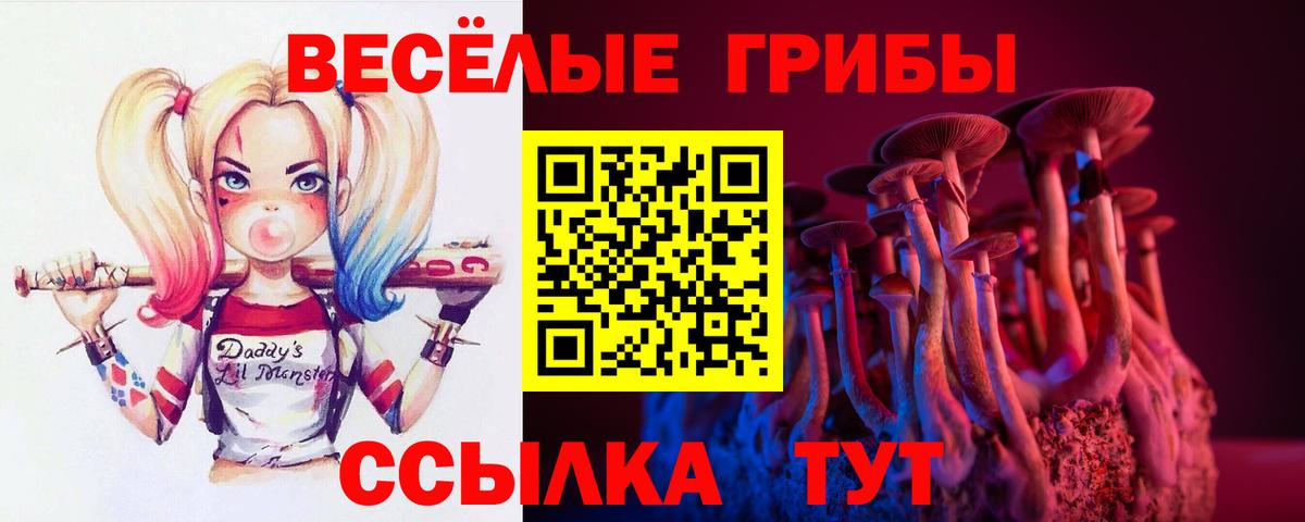 Псилоцибиновые грибы ЛСД Менделеевск
